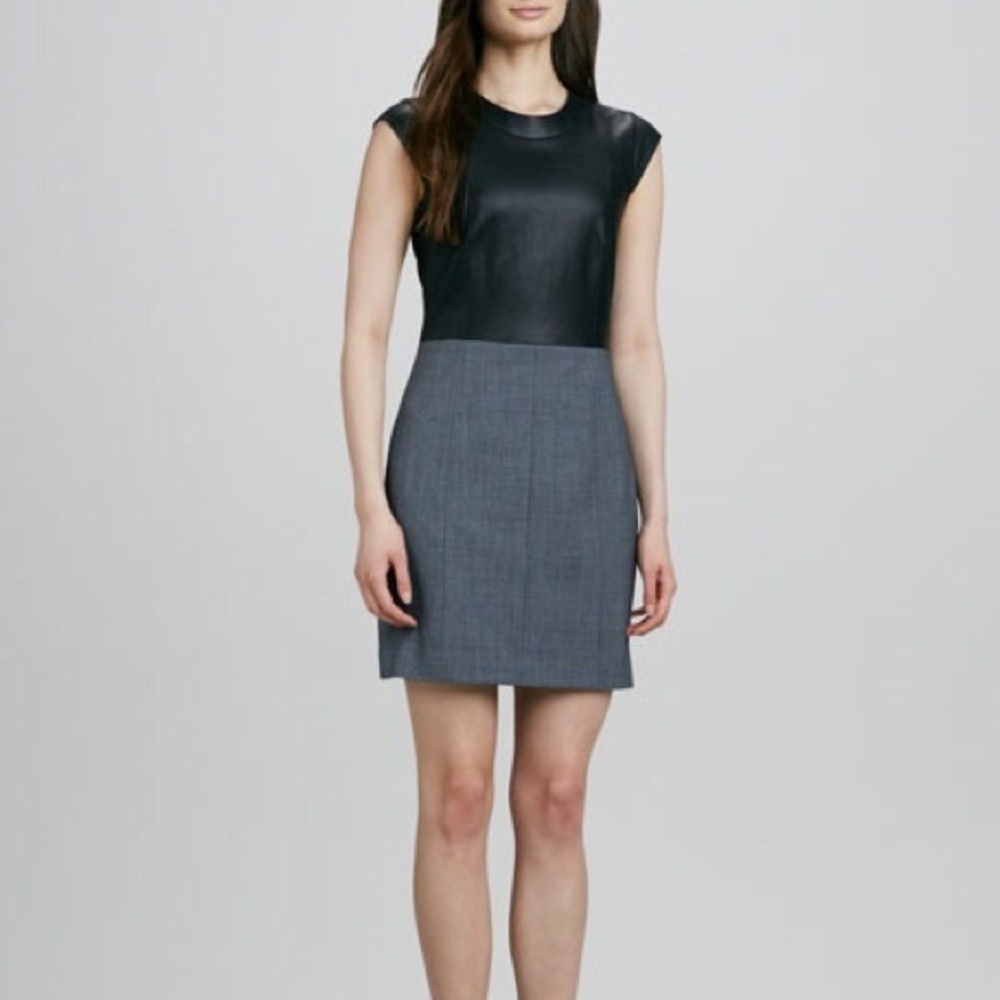 Theory Orinthia Dress with Leather Bodice